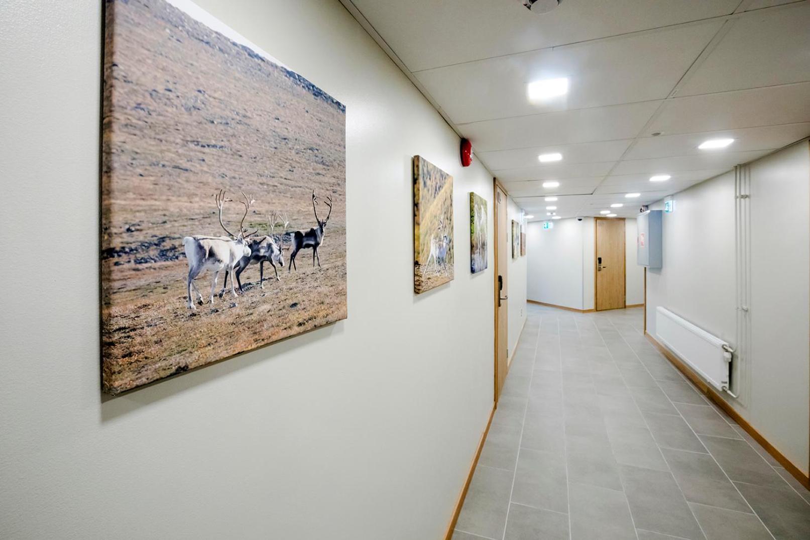 Hotelli Toivola Kemi Exteriér fotografie